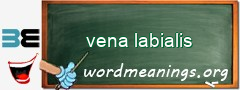 WordMeaning blackboard for vena labialis